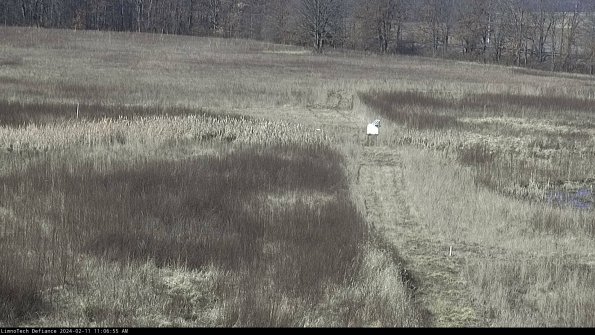 Cell 1 to 2_24-02-11_11-06-55-92