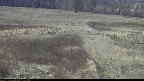 Cell 1 to 2_24-02-11_14-27-50-93