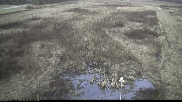 Cell 1_24-02-11_07-45-45-92