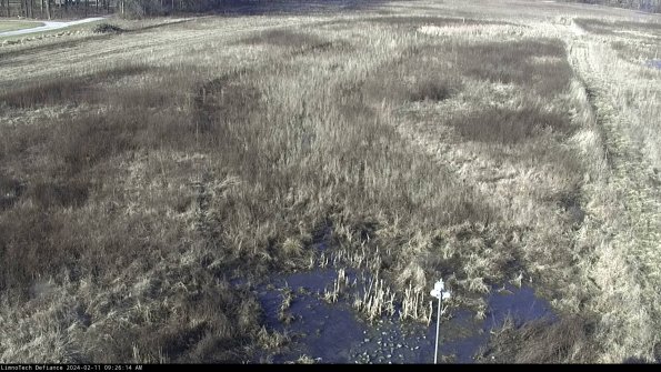 Cell 1_24-02-11_09-26-14-93