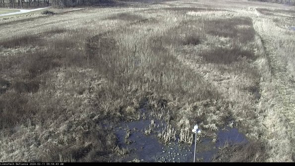 Cell 1_24-02-11_09-59-43-94