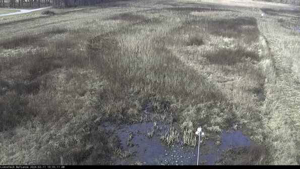 Cell 1_24-02-11_10-33-11-93