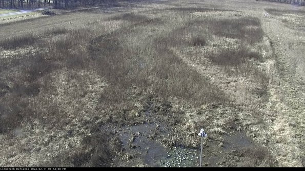 Cell 1_24-02-11_13-54-08-93