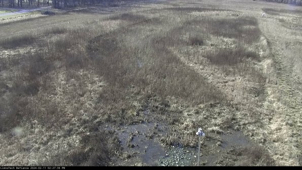 Cell 1_24-02-11_14-27-36-94