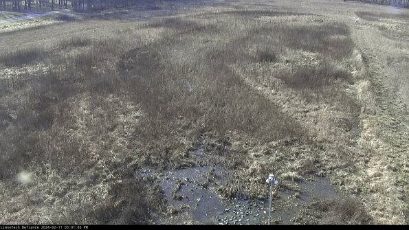 Cell 1_24-02-11_15-01-06-93