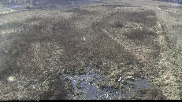 Cell 1_24-02-11_15-34-35-92