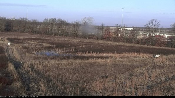 Cell 2_24-02-11_08-19-42-96