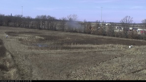 Cell 2_24-02-11_13-21-05-97