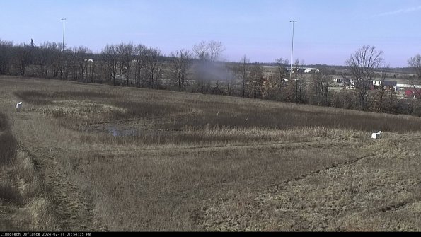 Cell 2_24-02-11_13-54-35-96