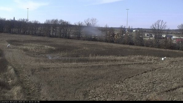 Cell 2_24-02-11_15-01-33-93