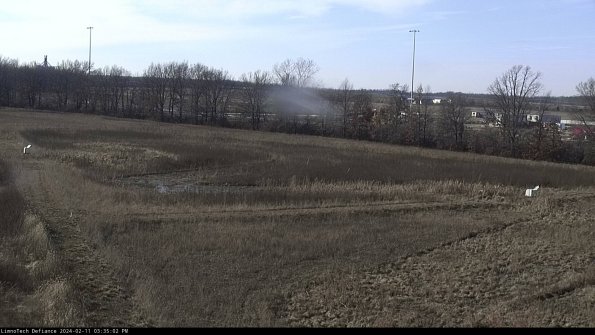 Cell 2_24-02-11_15-35-02-94