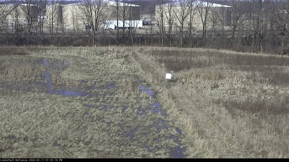 Cell 3 to 4_24-02-11_13-55-16-93