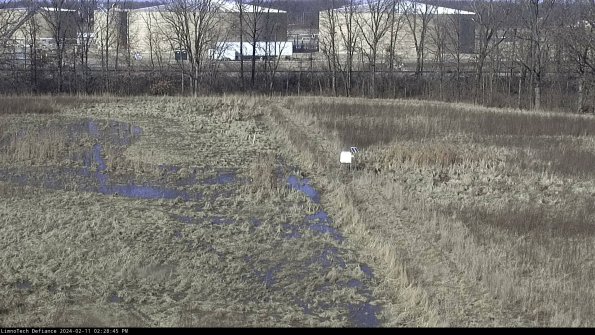 Cell 3 to 4_24-02-11_14-28-45-91