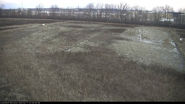 Cell 3_24-02-11_07-46-40-91