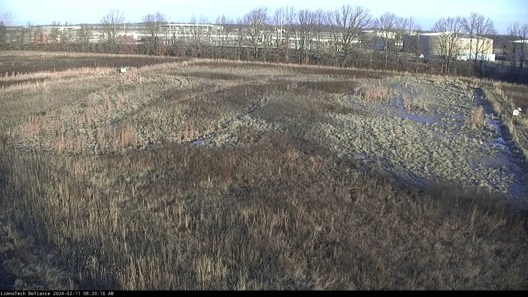 Cell 3_24-02-11_08-20-10-92