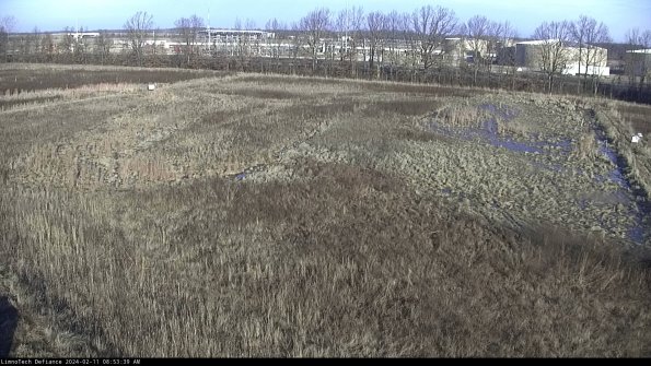 Cell 3_24-02-11_08-53-39-94