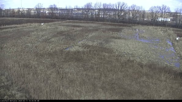 Cell 3_24-02-11_10-34-06-95