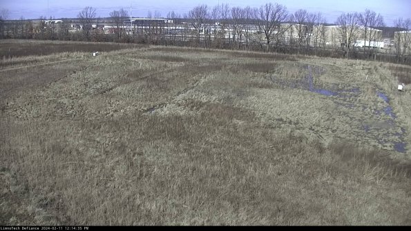 Cell 3_24-02-11_12-14-35-93