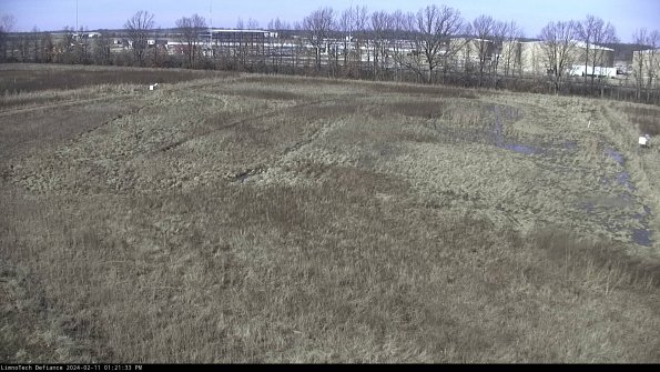 Cell 3_24-02-11_13-21-33-93