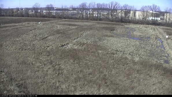 Cell 3_24-02-11_14-28-31-93