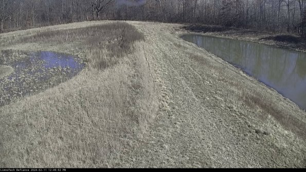 Cell 4 to Basin_24-02-11_12-49-02-91