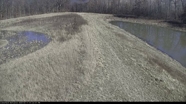 Cell 4 to Basin_24-02-11_13-22-31-93