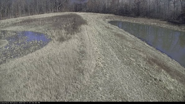 Cell 4 to Basin_24-02-11_13-56-00-94