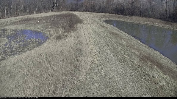 Cell 4 to Basin_24-02-11_14-29-29-96