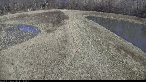 Cell 4 to Basin_24-02-11_15-02-59-95