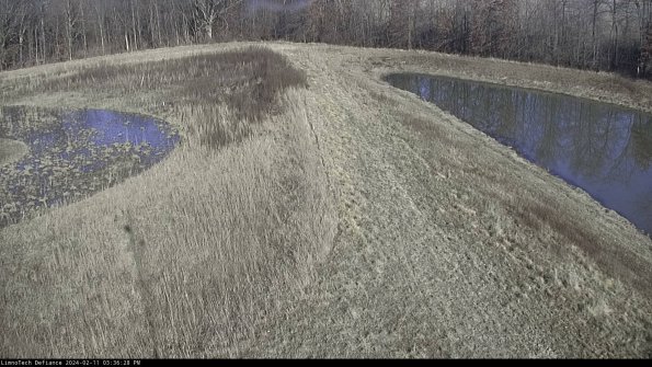 Cell 4 to Basin_24-02-11_15-36-28-93