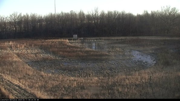 Cell 4_24-02-11_08-20-38-95