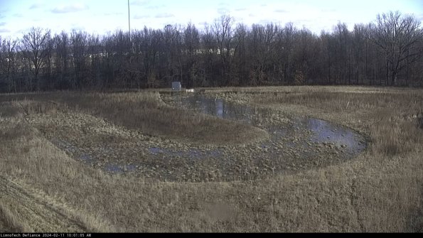 Cell 4_24-02-11_10-01-05-93