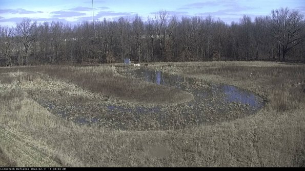 Cell 4_24-02-11_11-08-04-93