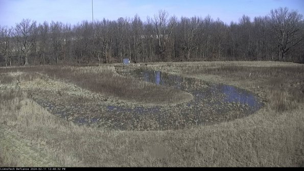 Cell 4_24-02-11_12-48-32-95