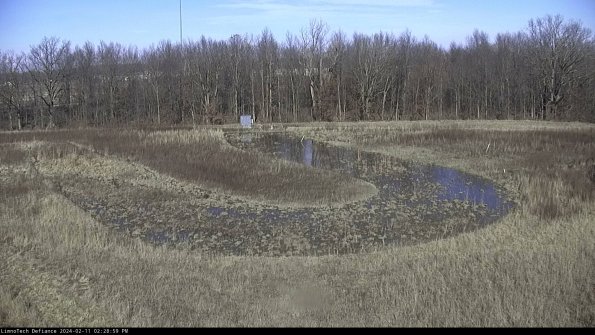 Cell 4_24-02-11_14-28-59-96