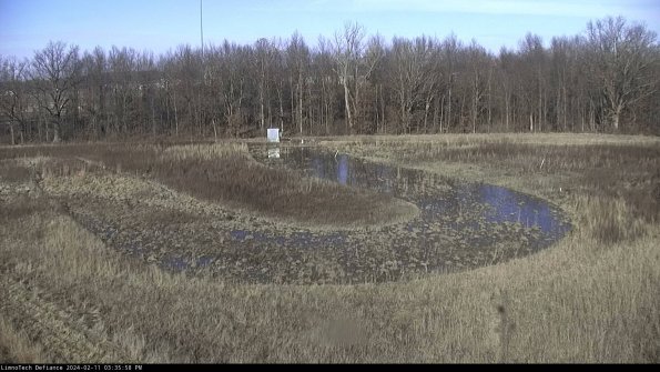 Cell 4_24-02-11_15-35-58-93