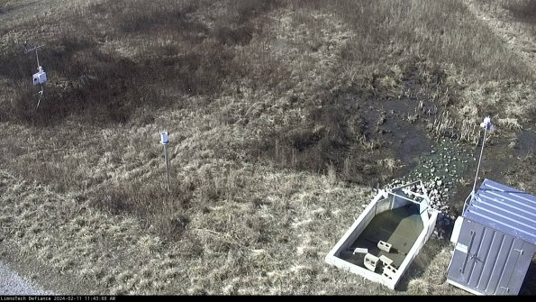 Weather & Flume_24-02-11_11-43-01-13