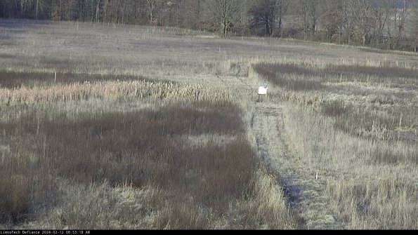 Cell 1 to 2_24-02-12_08-53-18-94