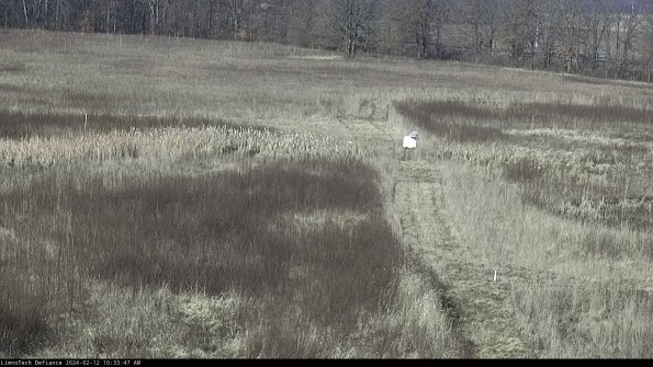 Cell 1 to 2_24-02-12_10-33-47-93