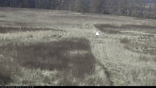 Cell 1 to 2_24-02-12_11-07-15-90