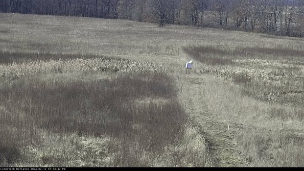 Cell 1 to 2_24-02-12_13-54-42-93