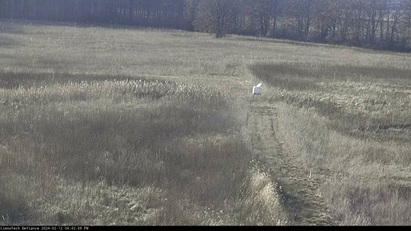 Cell 1 to 2_24-02-12_16-42-09-92