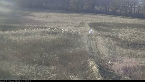 Cell 1 to 2_24-02-12_17-15-39-94