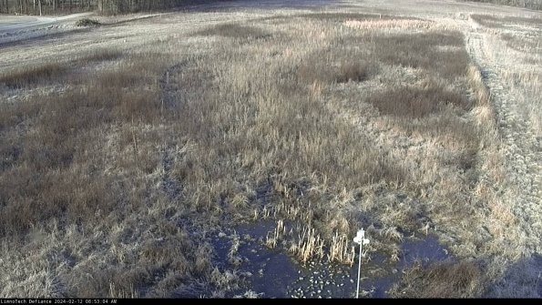 Cell 1_24-02-12_08-53-04-96