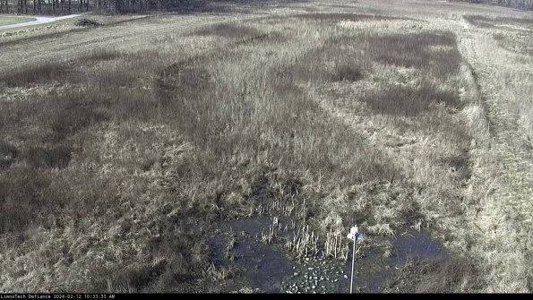 Cell 1_24-02-12_10-33-33-91