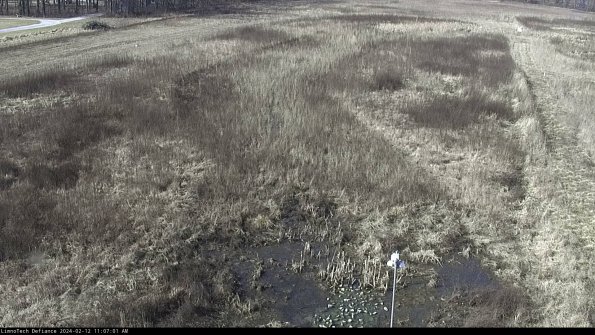 Cell 1_24-02-12_11-07-01-92