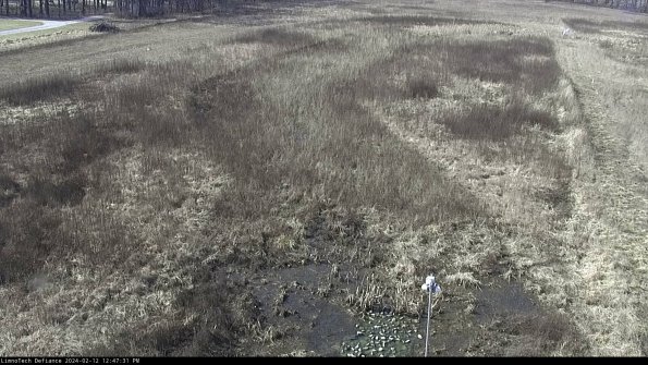 Cell 1_24-02-12_12-47-31-91