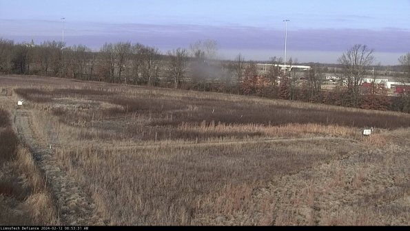 Cell 2_24-02-12_08-53-31-99