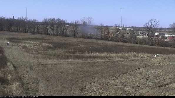 Cell 2_24-02-12_13-21-27-92