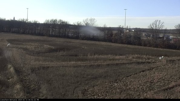 Cell 2_24-02-12_16-42-23-00